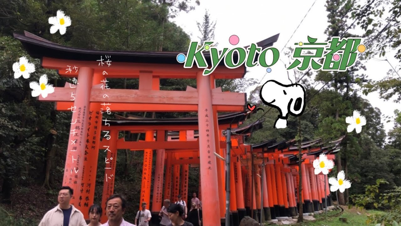arashiyama bamboo forest • kyoto 京都 • fushimi inari shrine •supermarket food haul •sushi •japan vlog