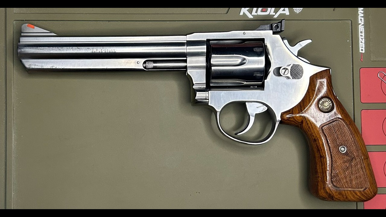Taurus Model 669