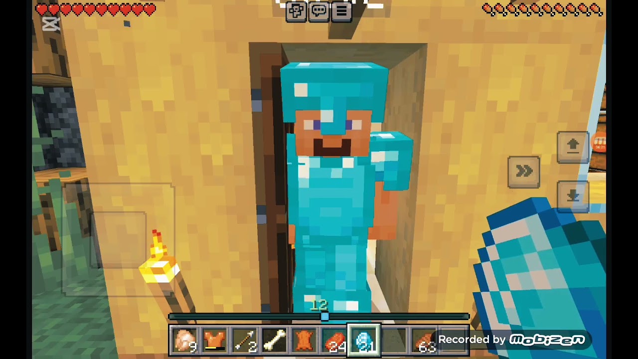 Minecraft Rp Kasap Çırak 