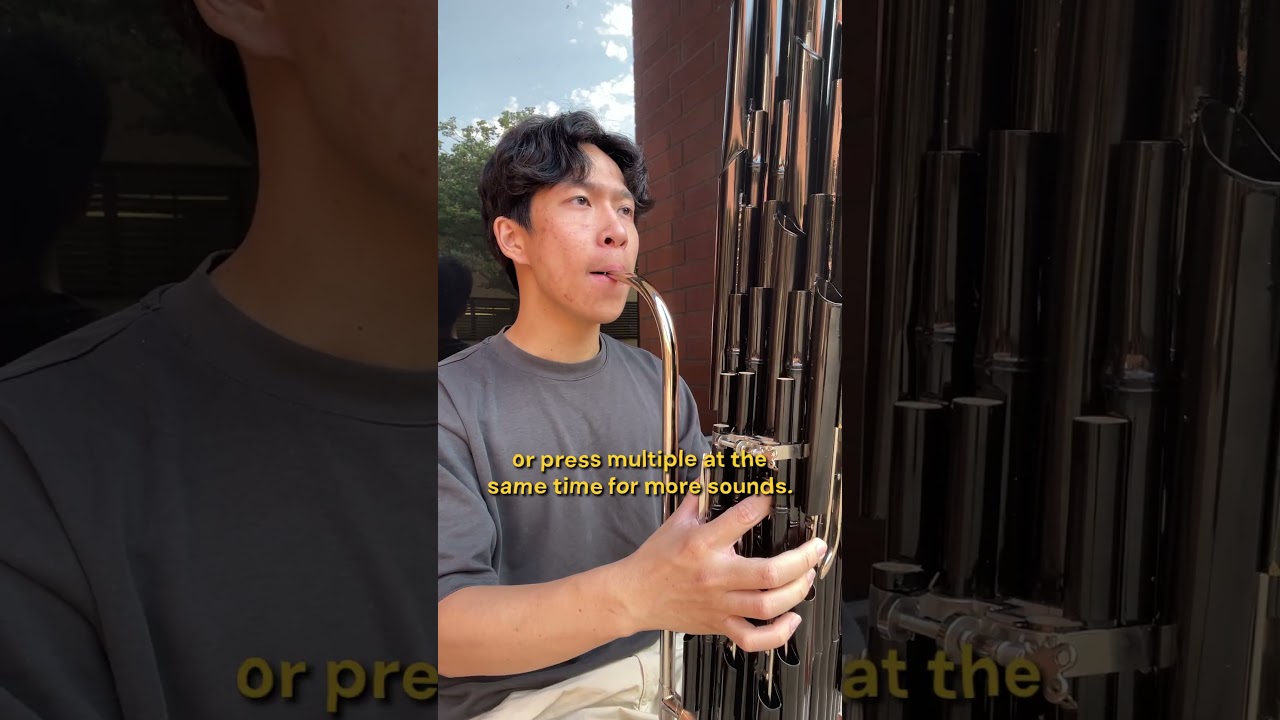 Do you know what music instrument this is?  #dayinthelife #piano #vlog #chinesemusic #sheng