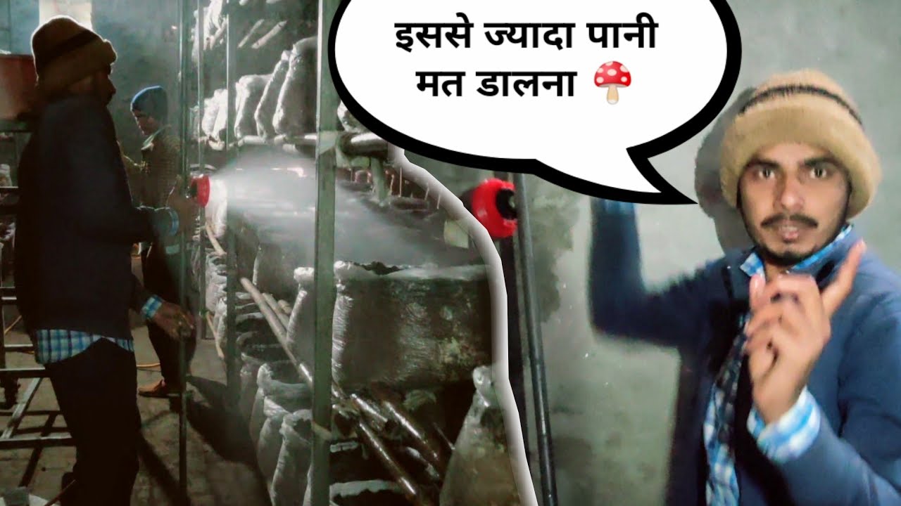 पानी डालने की पूरी जानकारी || Watering Process in Button Mushroom Farm || Rural Story