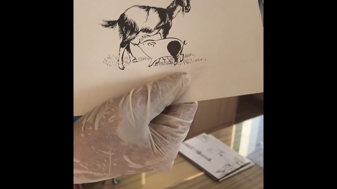 Aplicación del Pata Negra