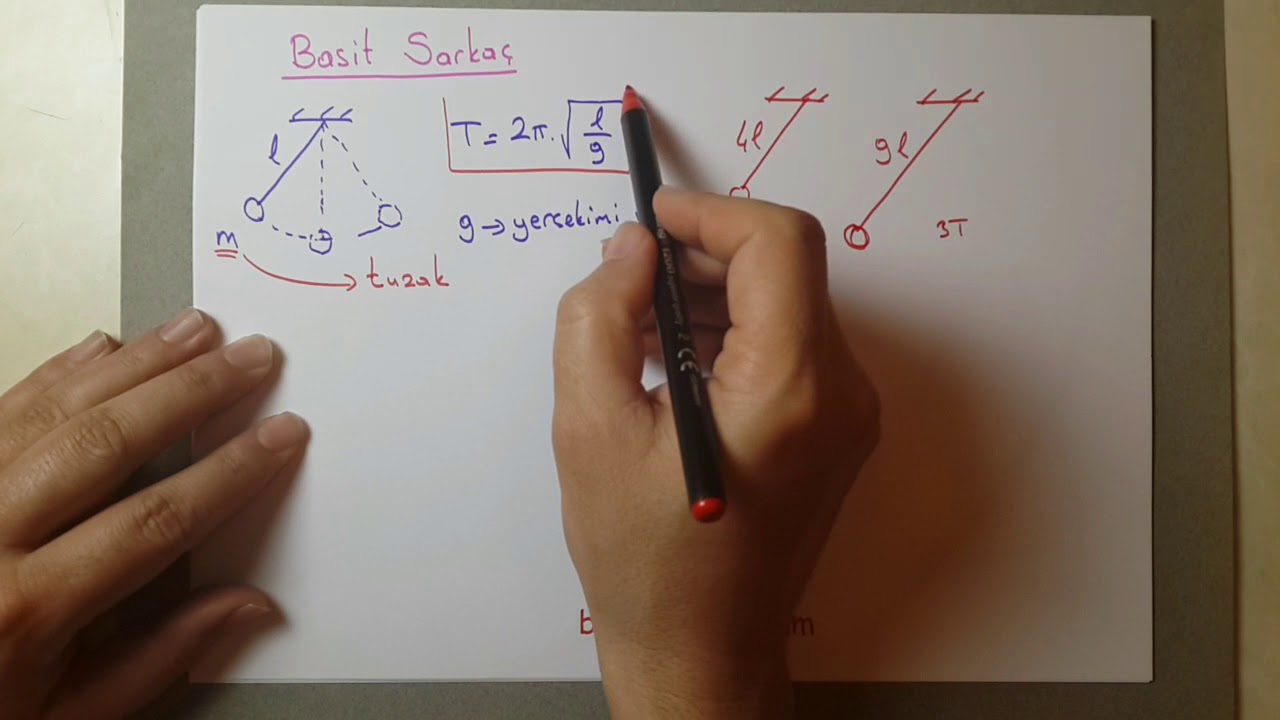 basit harmonik hareket 2 basit sarka&ccedil;