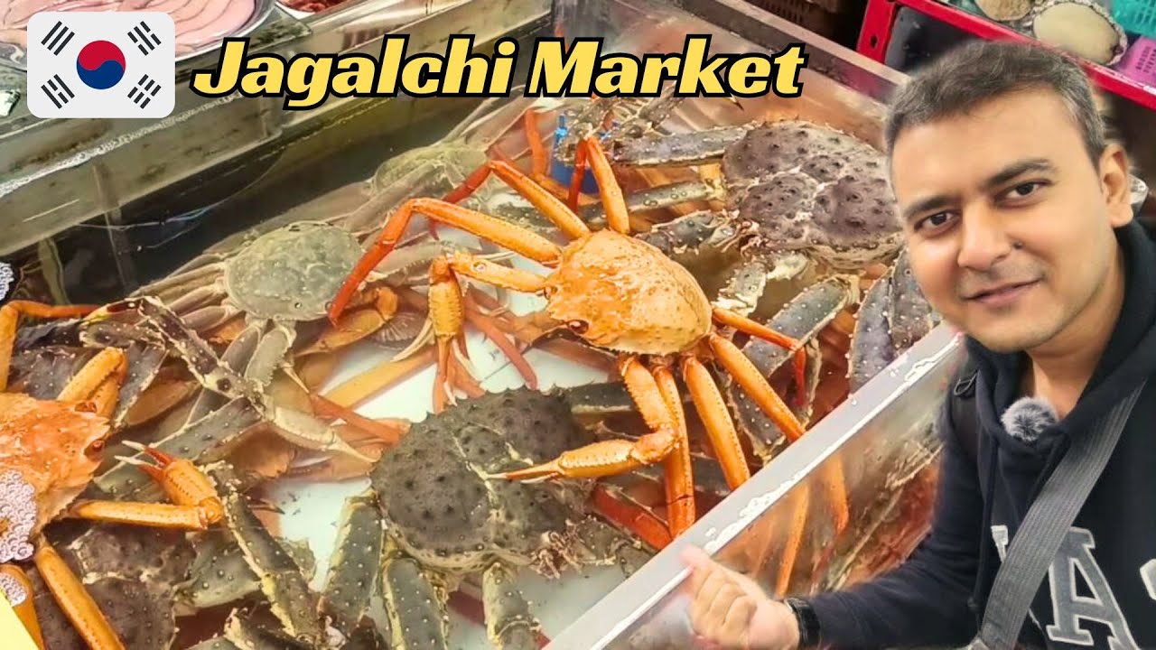 Best FISH Market in ENTIRE EAST ASIA | Jagalchi Fish Market, Busan, South Korea 🇰🇷