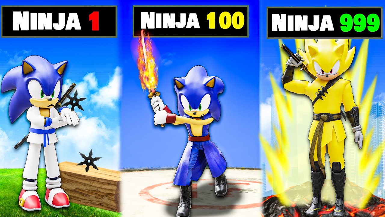 Обновление до NINJA Sonic в GTA 5
