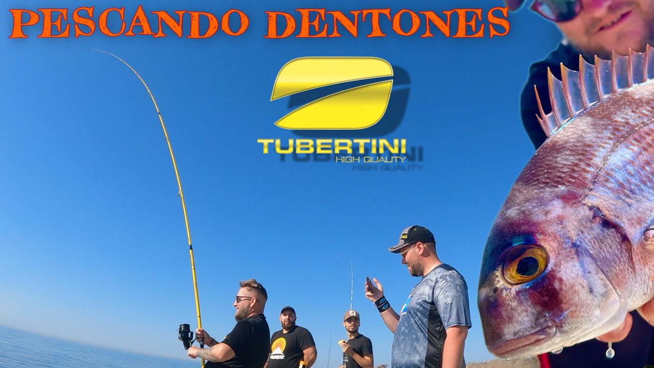 ‼️PICADAS EN DIRECTO LA PESCA DEL DENTON NUEVO CONTENIDO PARA EL CANAL PESCA AL VIVO 💣