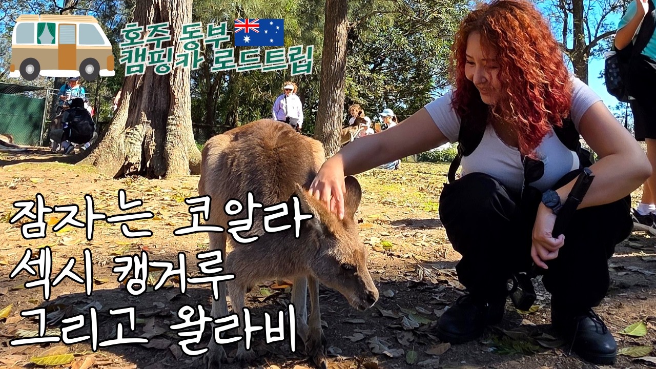 호주 🇦🇺 캠핑카 로드트립 🛺 ｜ 코알라 캥거루 왈라비랑 놀기 ｜ 브리즈번 론파인 코알라 생츄어리 ｜ 호주 여행 브이로그 EP.1 ｜ 웰리트립 호주