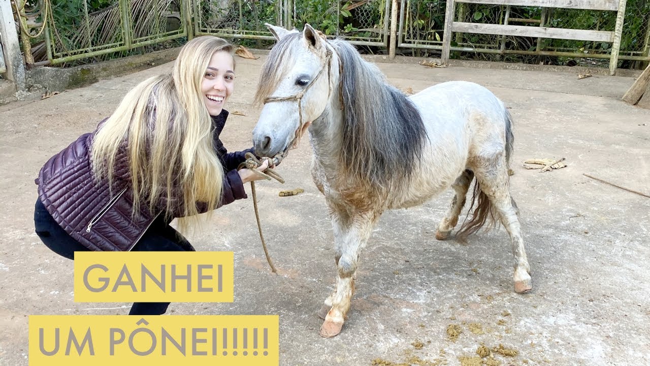 TEMOS UM NOVO MEMBRO NA FAMÍLIA