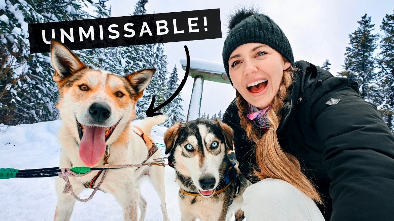 I SURVIVED the WILDEST Winter Activities in Banff & Lake Louise! 🇨🇦