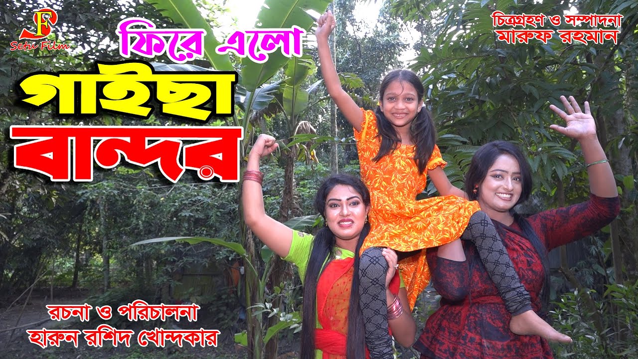 গাইছা বান্দর ১১  