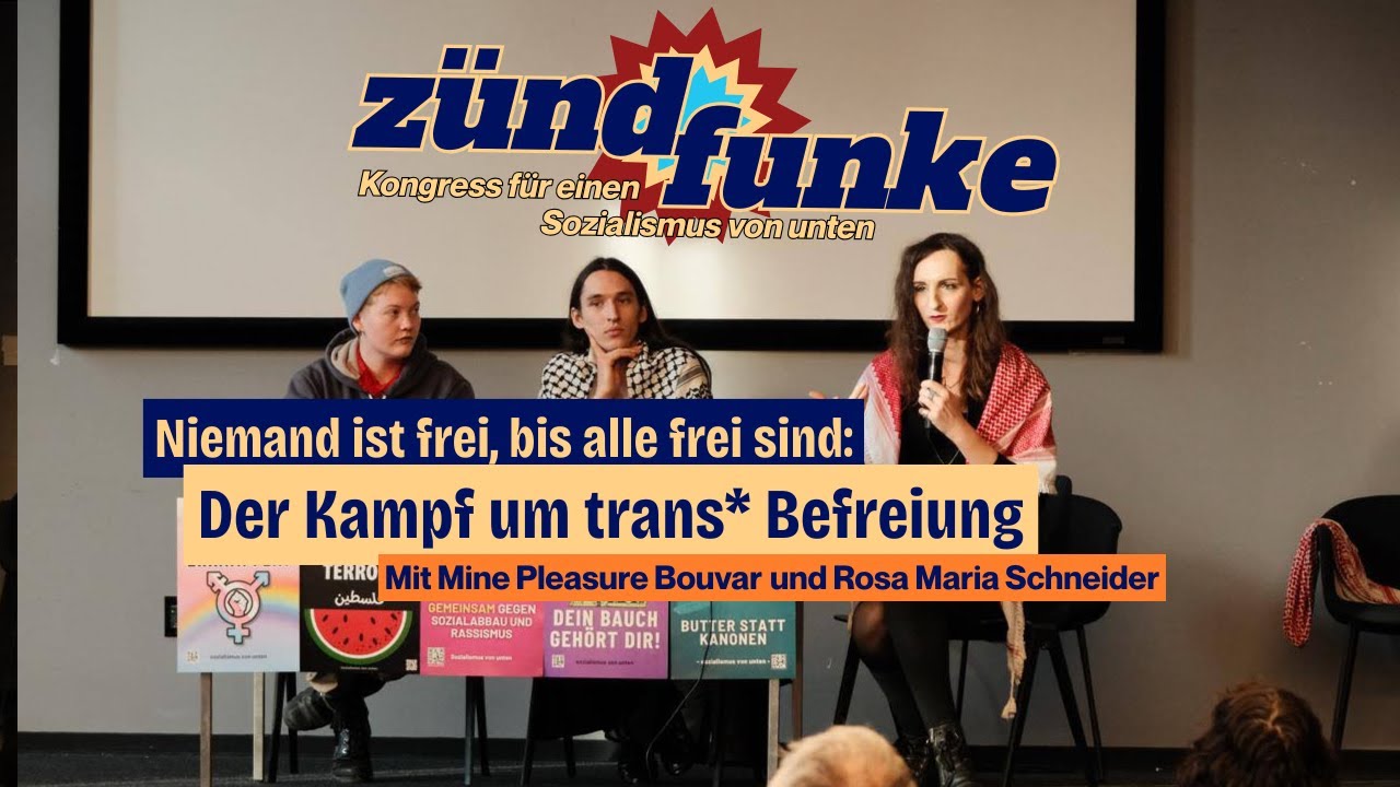 Niemand ist frei bis alle frei sind: Der Kampf um trans*Befreiung; Mine P. Bouvar, Rosa M. Schneider