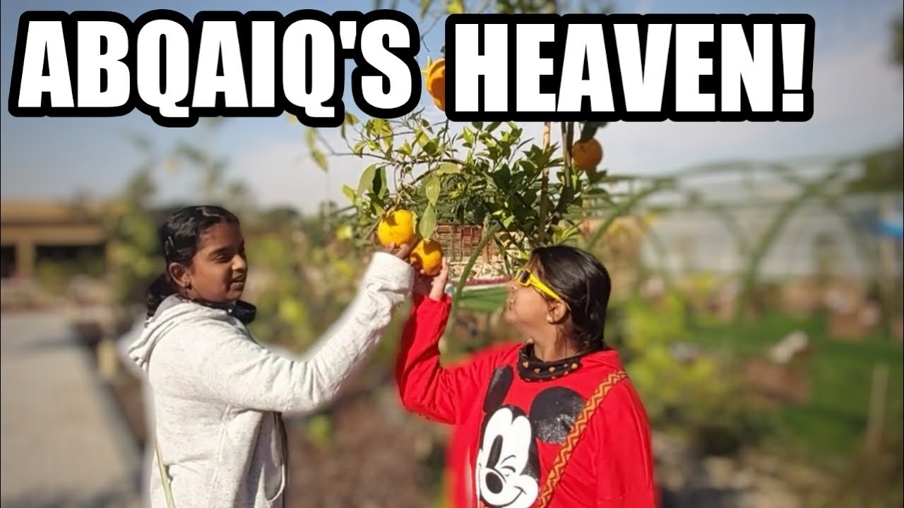 ABQAIQ'S HEAVEN | SAUDI ARABIA