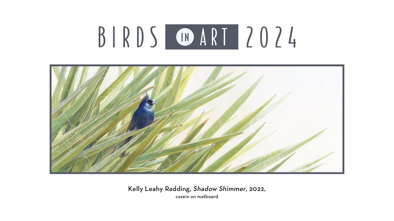 Kelly Leahy Radding on 