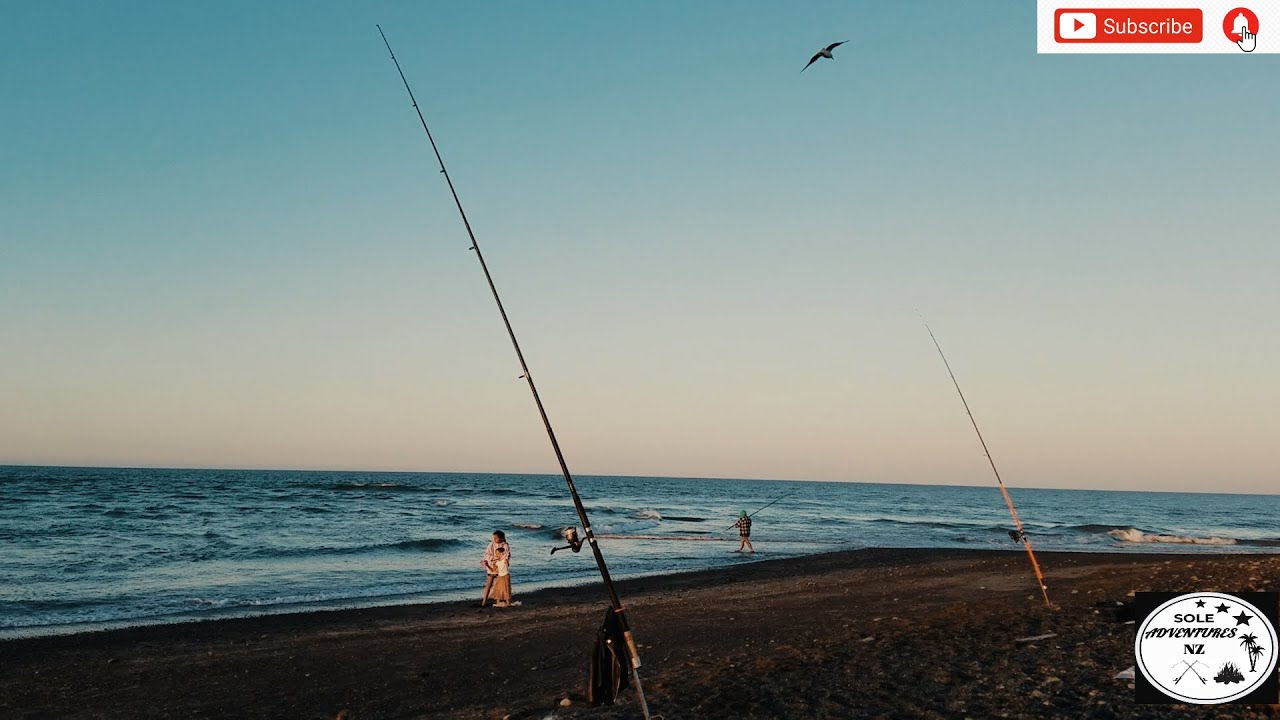 SURFCASTING | HAWKES BAY | Haumoana New Zealand.#nzfishing #surfcasting #fishing