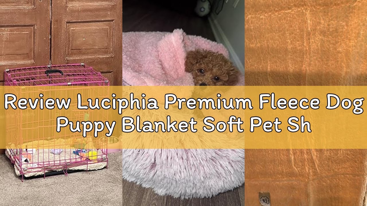 Review Luciphia Premium Fleece Dog Puppy Blanket Soft Pet Sherpa Calming Cat Blanket Throw for Small