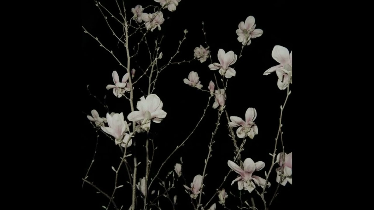 The 1975 - Yeah I Know (Slowed + Reverb)
