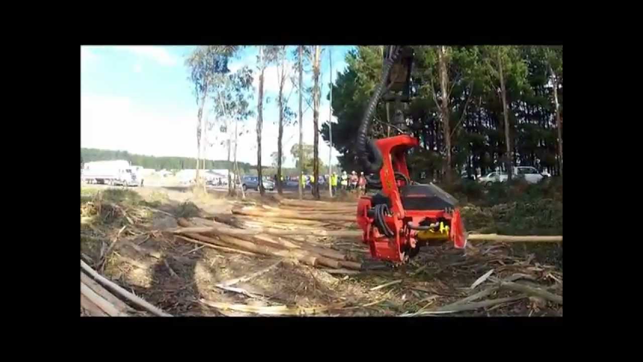 Harvesting Head SP Maskiner 591 LX Debarking Eucalyptus