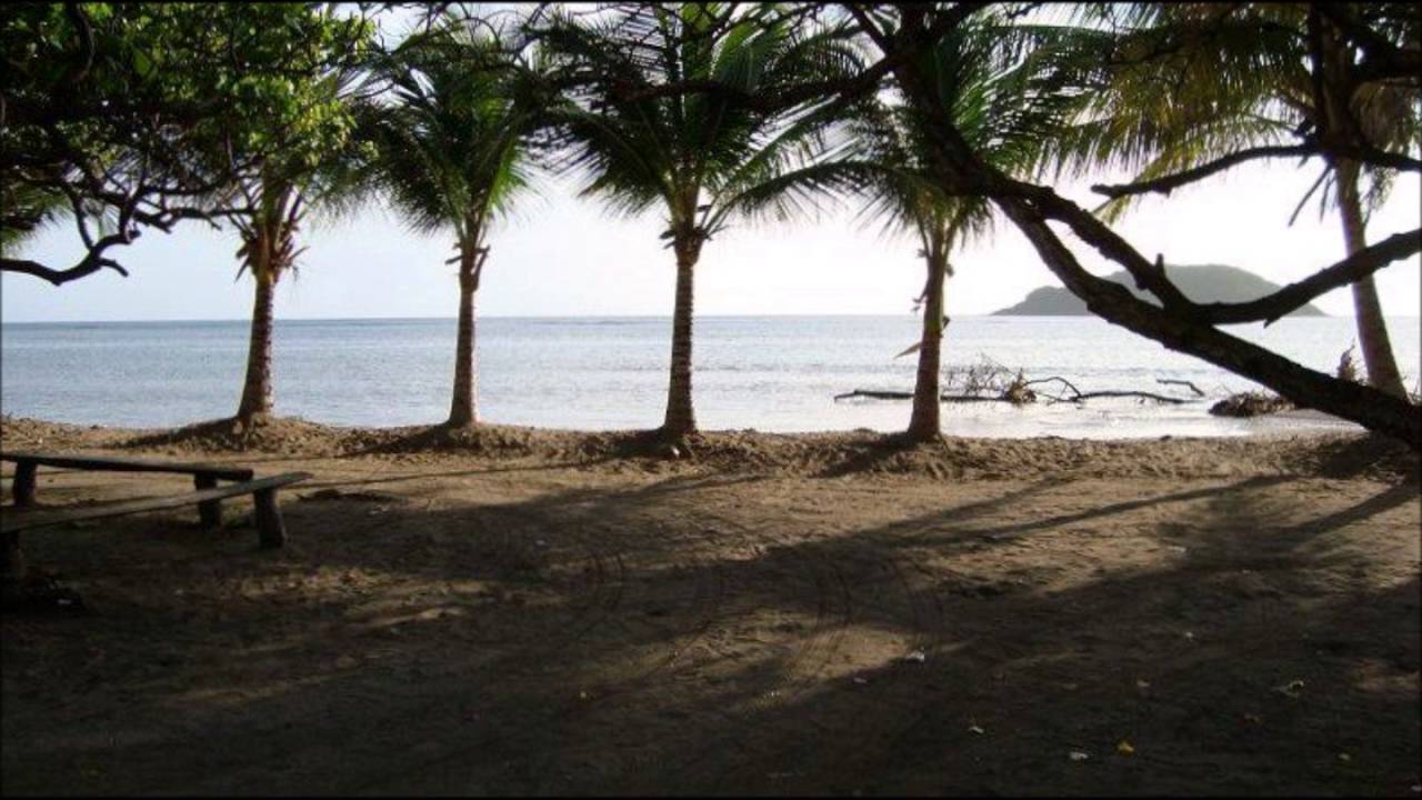 VICKINGS MARTINIQUE Bientot les vacances