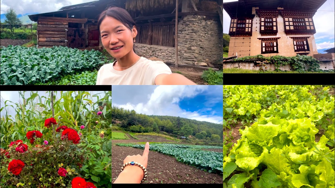 Exploring the beauty of simple living ….our family farm 🫶