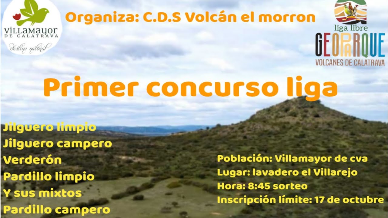 ‼️Últimos campeos antes del primer concurso 🙄