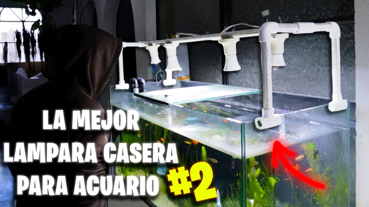 Hice La MEJOR LAMPARA CASERA PARA MI ACUARIO PRINCIPAL