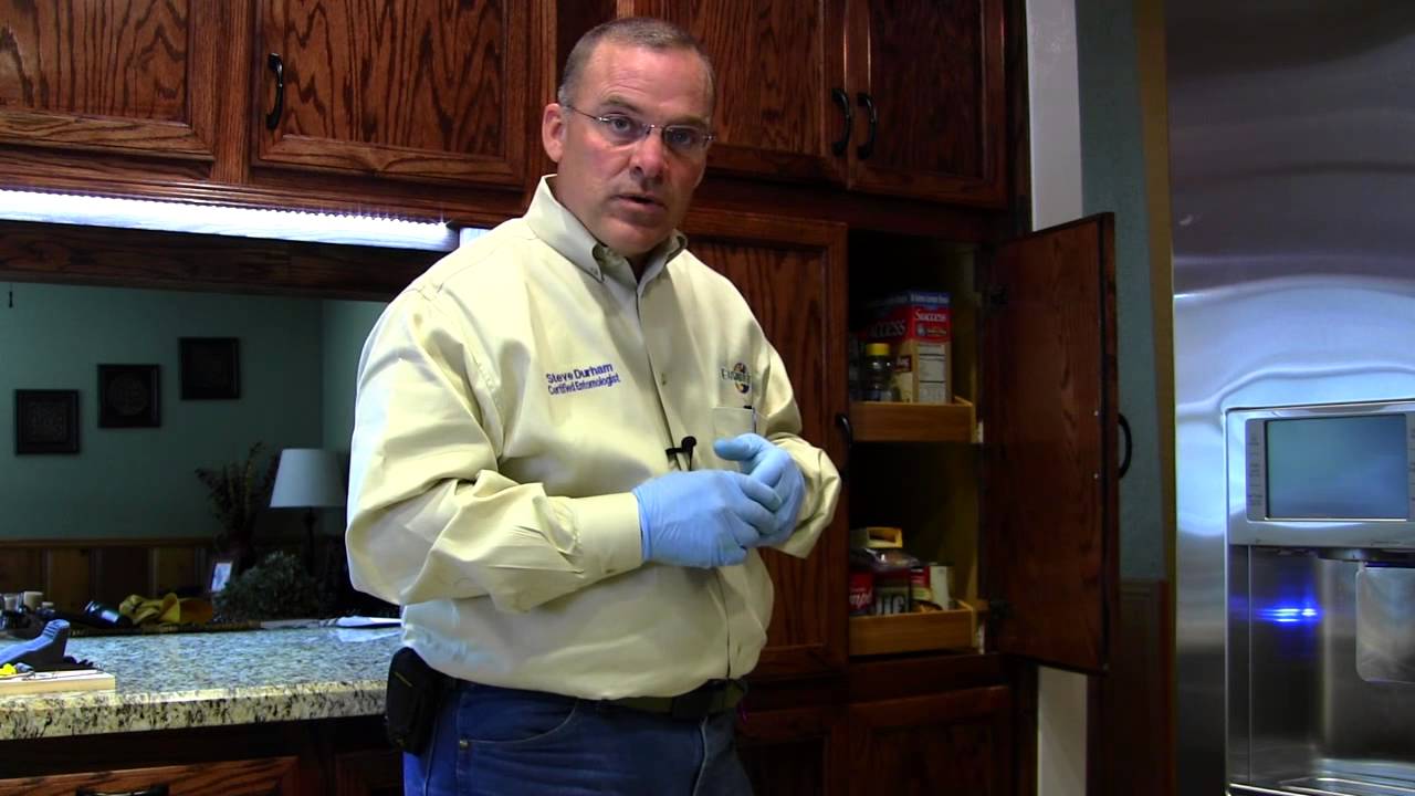 Regular Pest Control Inside the Home (Part 1 of 2)