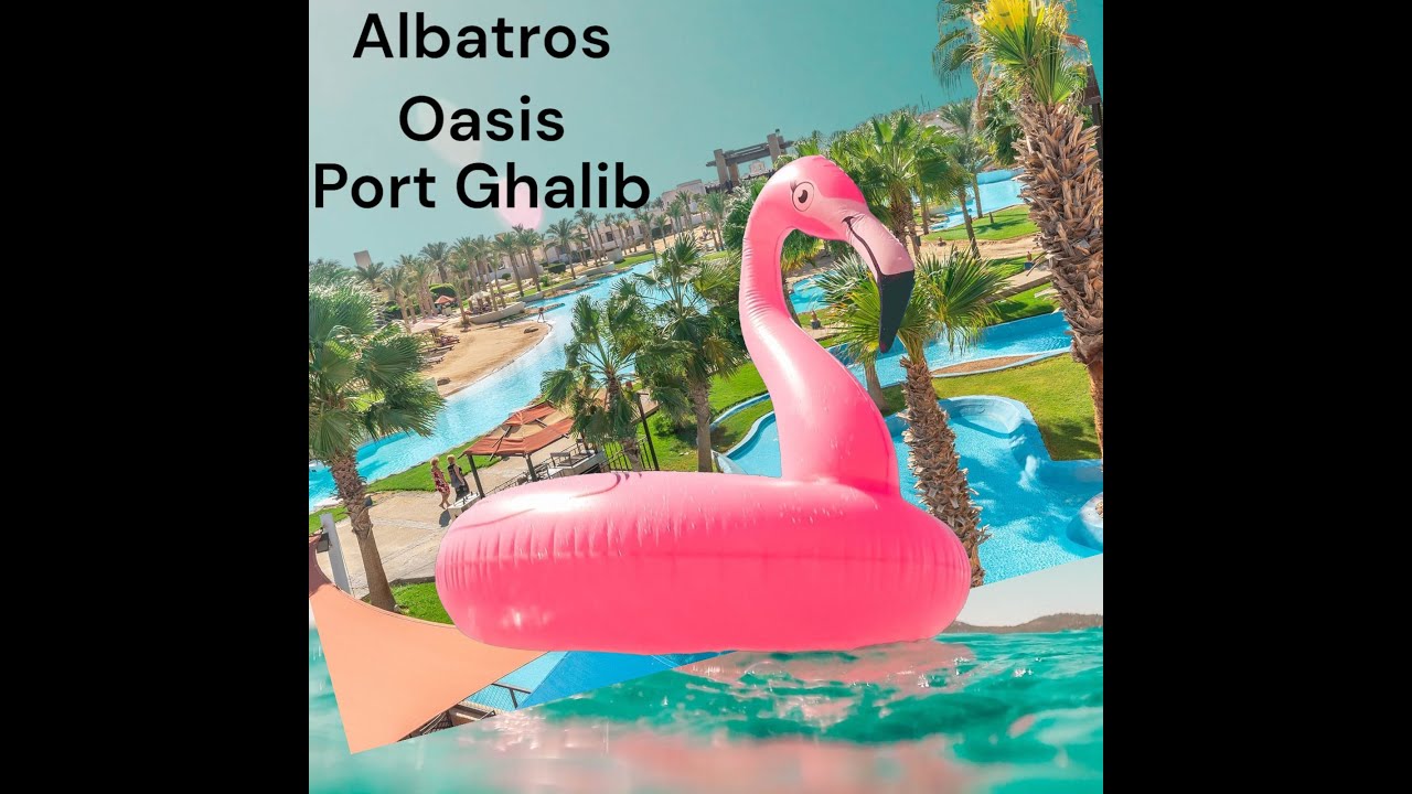Hotel Albatros Oasis Port Ghalib - Marsa Alam 08.2024