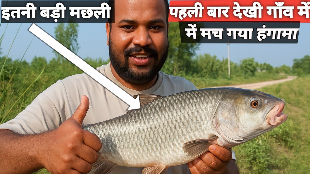 इतनी बड़ी मछली पहली बार देखी 😱 गाँव में मच गया हंगामा @Junni1z #fishing 