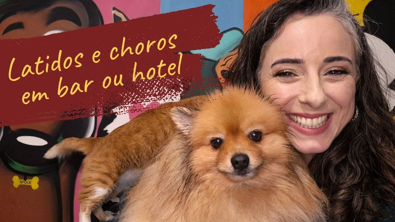 Cachorro sofre quando me afasto em restaurantes ou hotéis? Entenda a ansiedade por separação