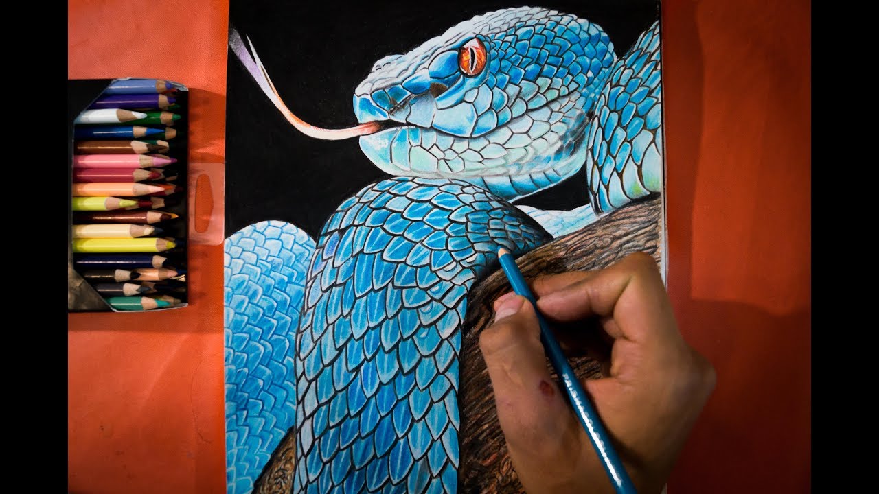Como dibujar Serpiente Realista