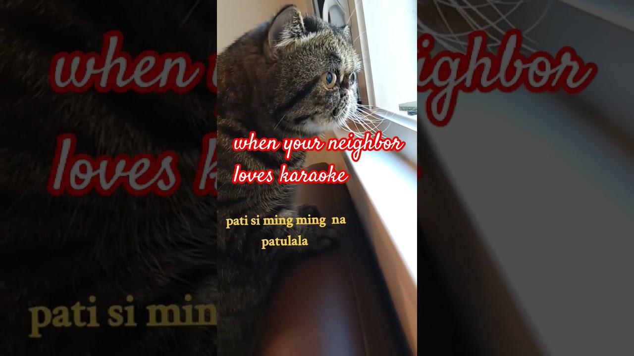 #cat