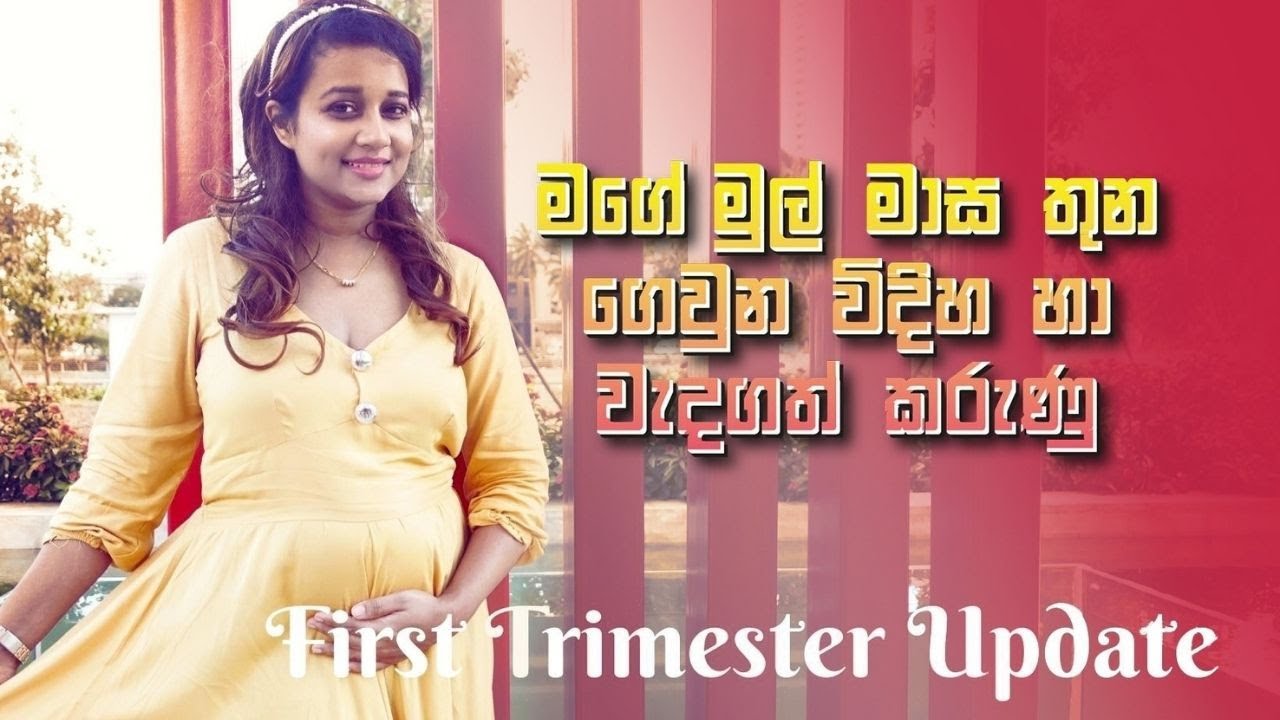 My First Trimester Update | First 03 Months Of Pregnancy | My Pregnancy Journey