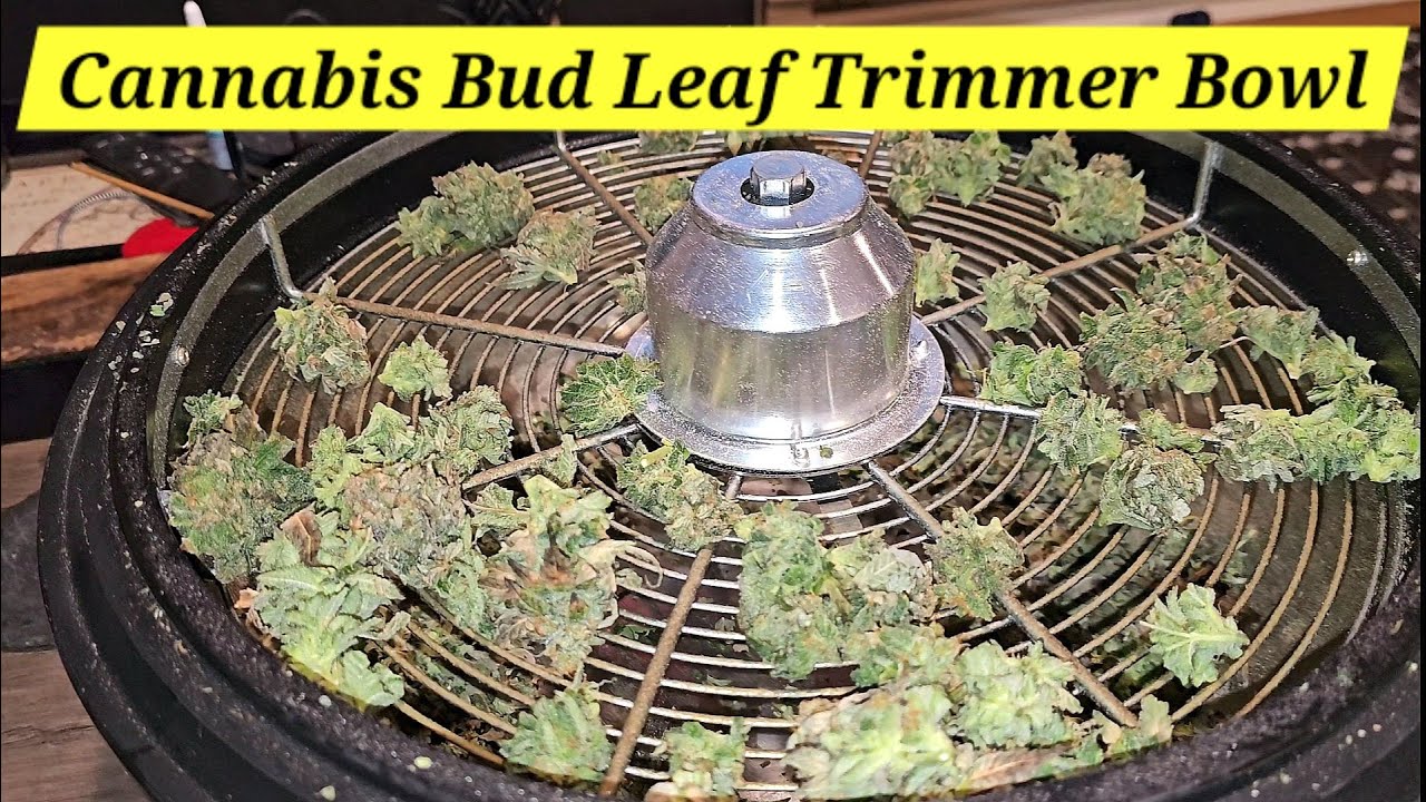 Cannabis Bud Leaf Trimmer Bowl - Good or Bad?