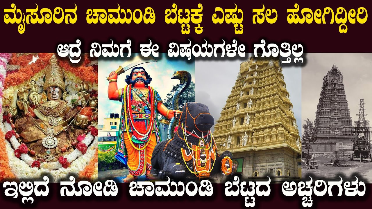 ಮೈಸೂರಿನ ಚಾಮುಂಡಿ ಬೆಟ್ಟದ ಈ ಅಚ್ಚರಿ ಮಾಹಿತಿಗಳು ನಿಮಗೆ ಗೊತ್ತಾ Interesting Facts About Mysore Chamundi Hills