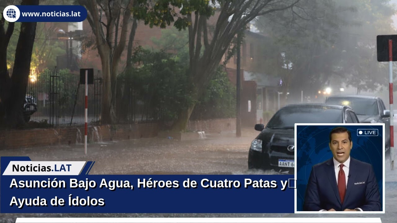 Asunción Bajo Agua, Héroes de Cuatro Patas y Ayuda de Ídolos