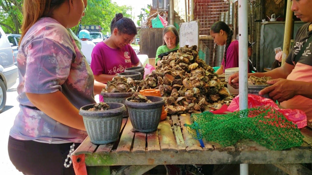 Bacolod City Tour Ride 2025: Punta Taytay Street Sceneries & Oyster Markets #travel #motovlog