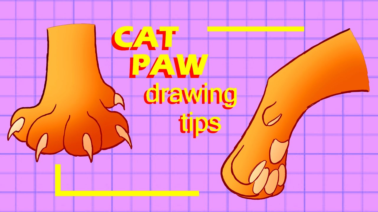 Cat PAW - Drawing Tips