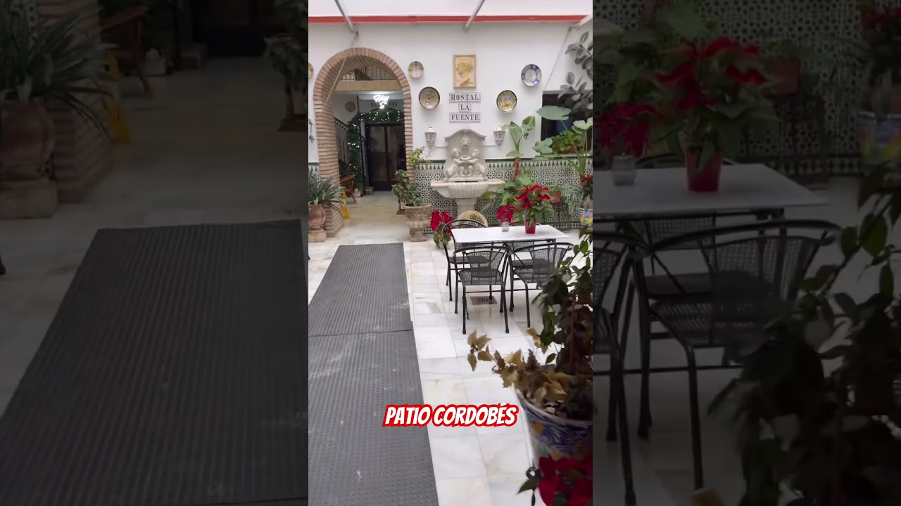 Patios de CÓRDOBA: belleza absoluta