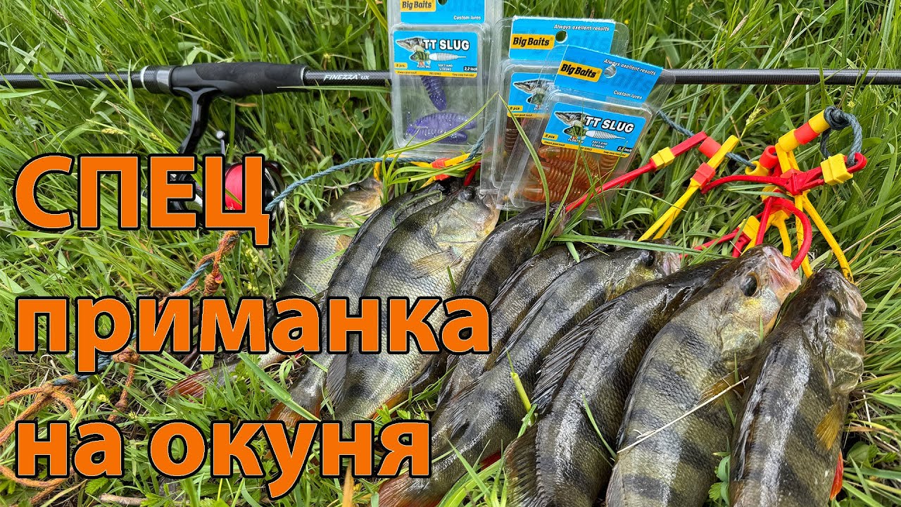СПЕЦ ПРИМАНКА НА ОКУНЯ великий червак велика риба !!! Graphiteleader Finezza UX