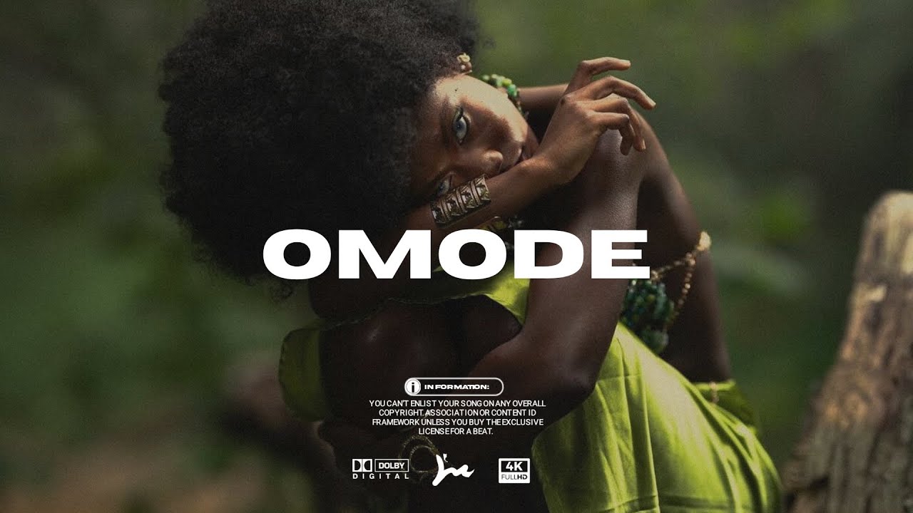 Afrobeat Instrumental 2025 Omah Lay x Rema x Fola Type Beat 