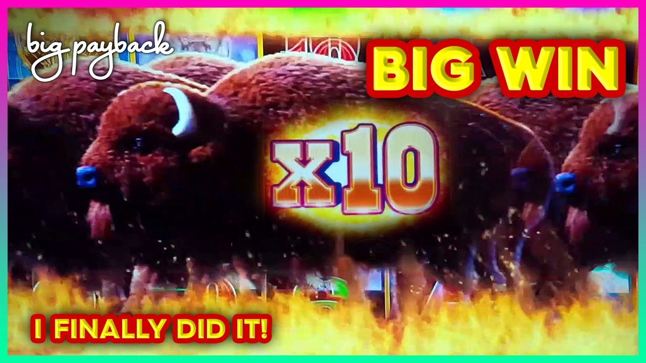 10X MULTIPLIER FINALLY! Buffalo Power Pay Slot - BIG WIN!