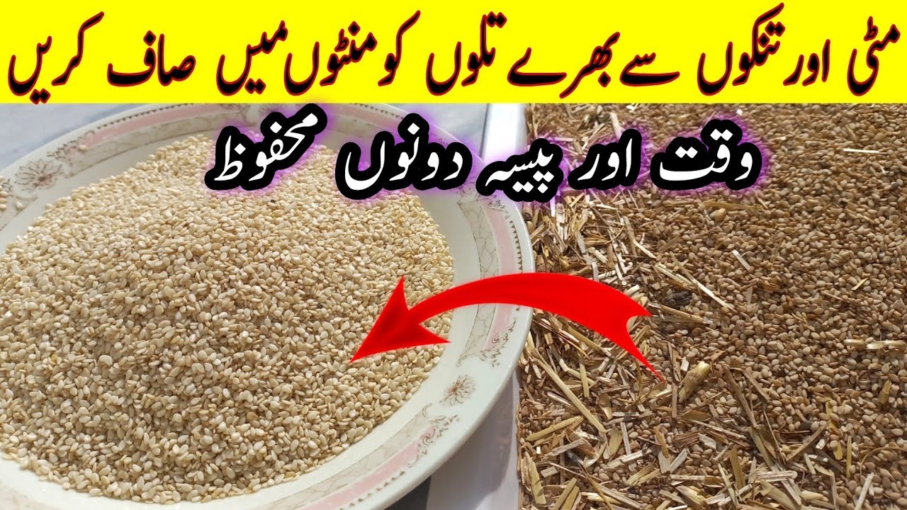 Till Saaf karne ka tarika | How to Clean Sesame seeds at Home | Til ko saaf karne ka tarika