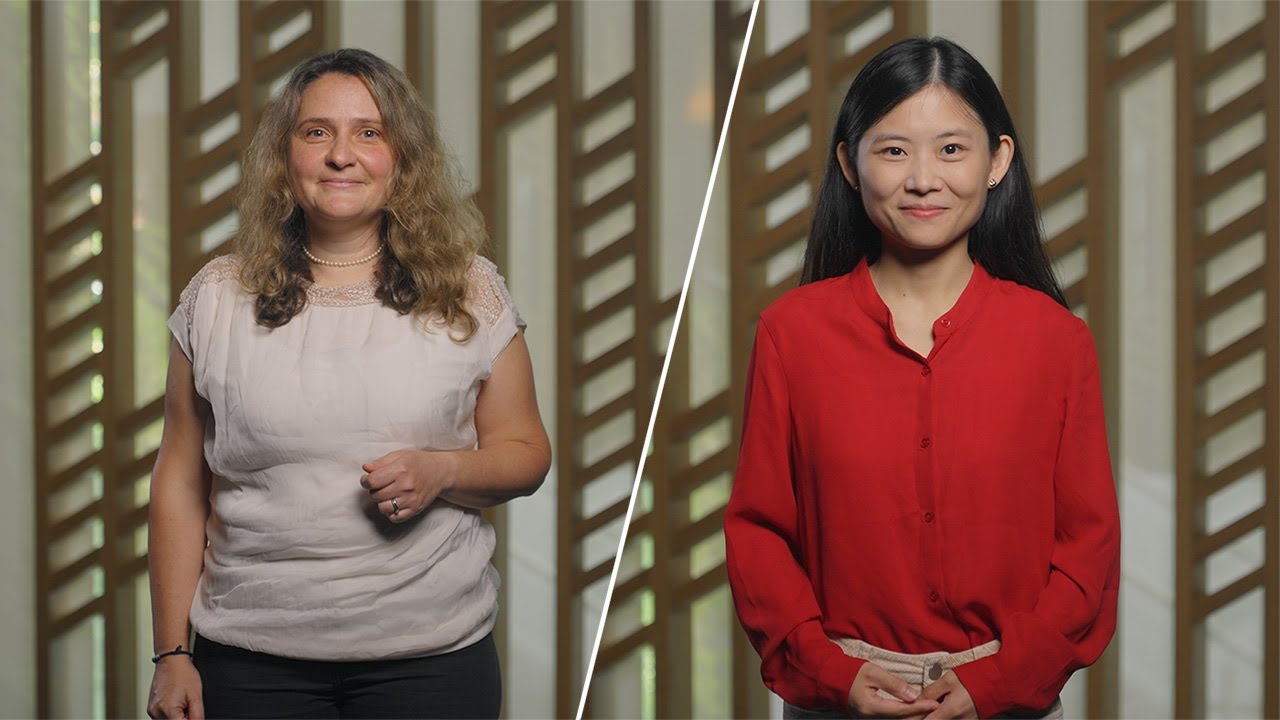 Analog optical computing for sustainable AI and beyond | Microsoft Research Forum