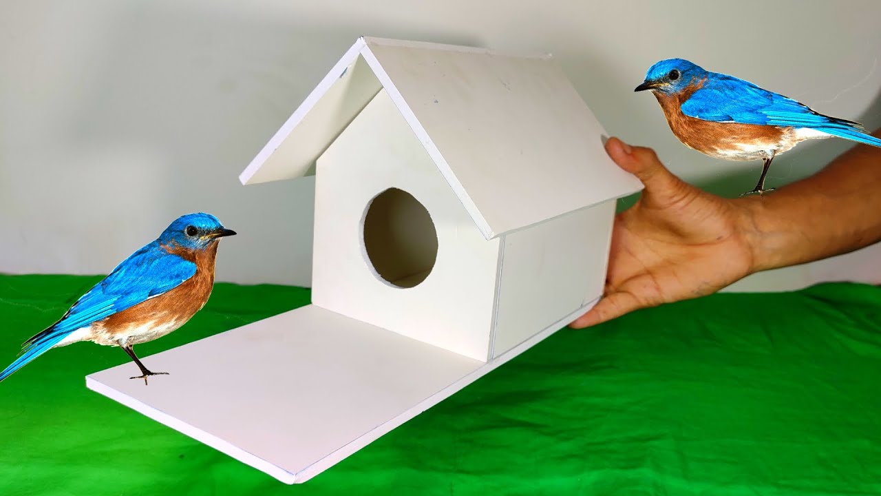 Easy Bird House diy - Build The Easiest And Simplest Bird House Ever!!!!
