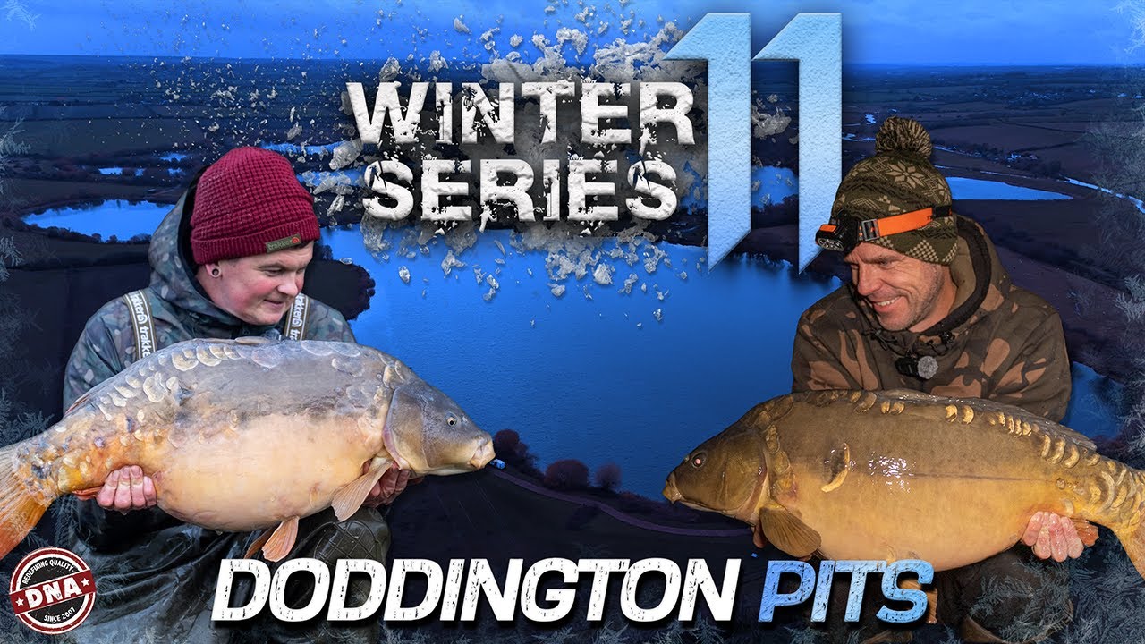 DAY-TICKET VENUE FULL OF 30-POUNDERS! WINTER SERIES 11 | DNA BAITS | DODDINGTON LANE | CARP FISHING