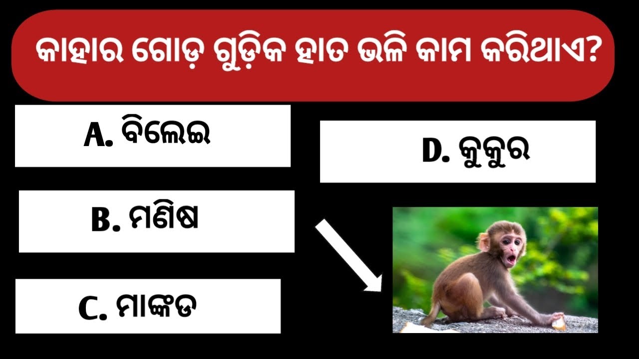କାହାର ଗୋଡ଼ ଗୁଡ଼ିକ ହାତ ଭଳି କାମ କରିଥାଏ? #brgkstudy#gk #gk  #generalknowledgequiz