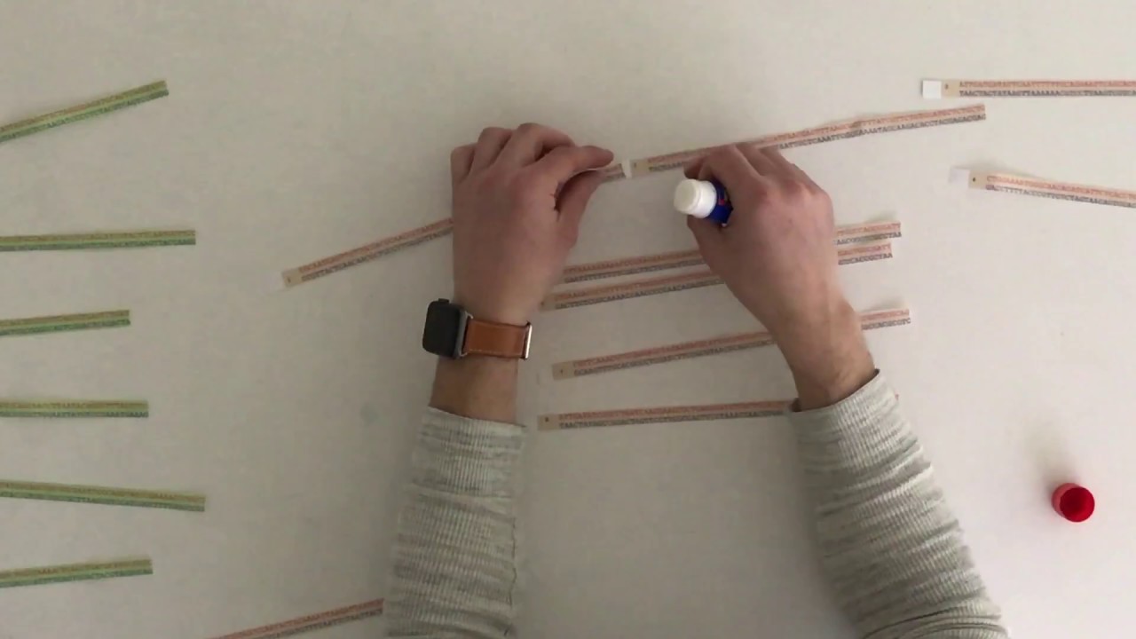Crear un pl&aacute;smido recombinante