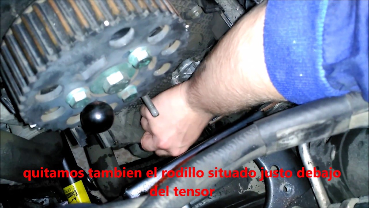CORREA DISTRIBUCION SEAT IBIZA 1.9 TDI 6L