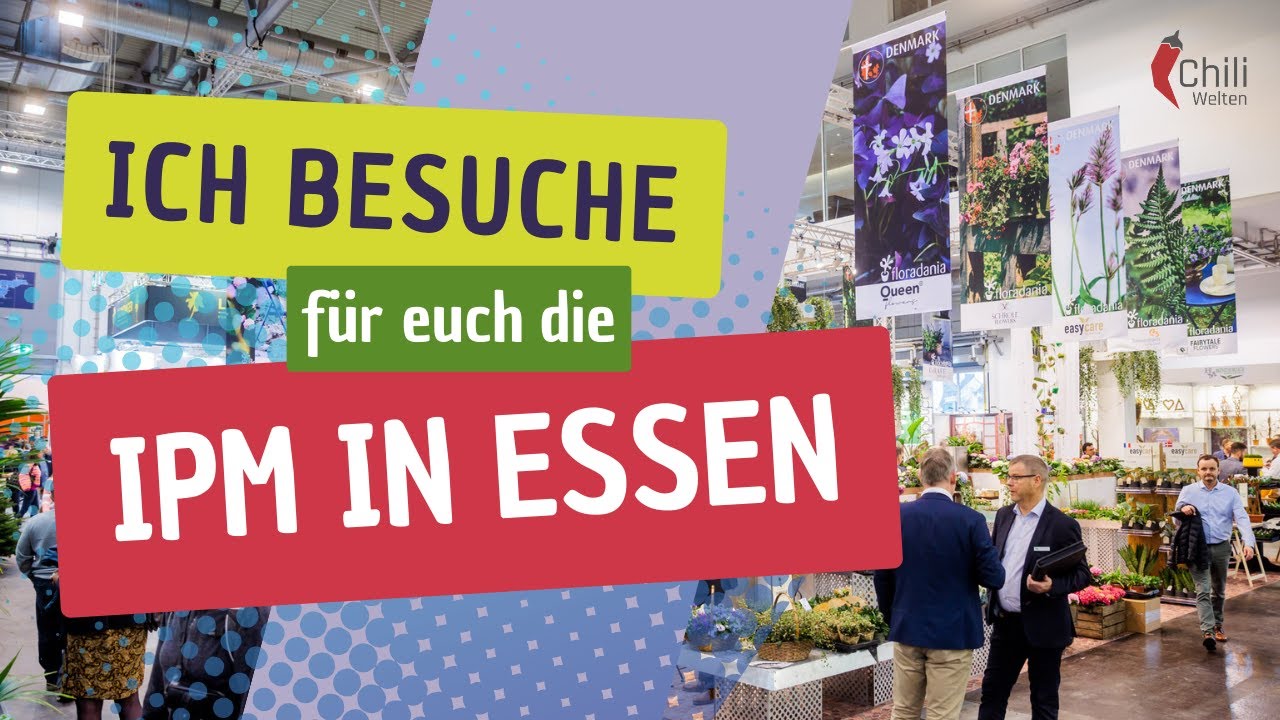 Rundgang auf der Internationalen Pflanzenmesse - IPM Essen 2023