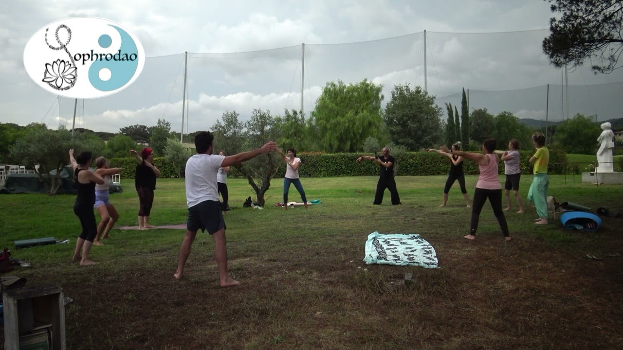 Session YOGA+ QI GONG et musique live (extrait du 21 07 2024